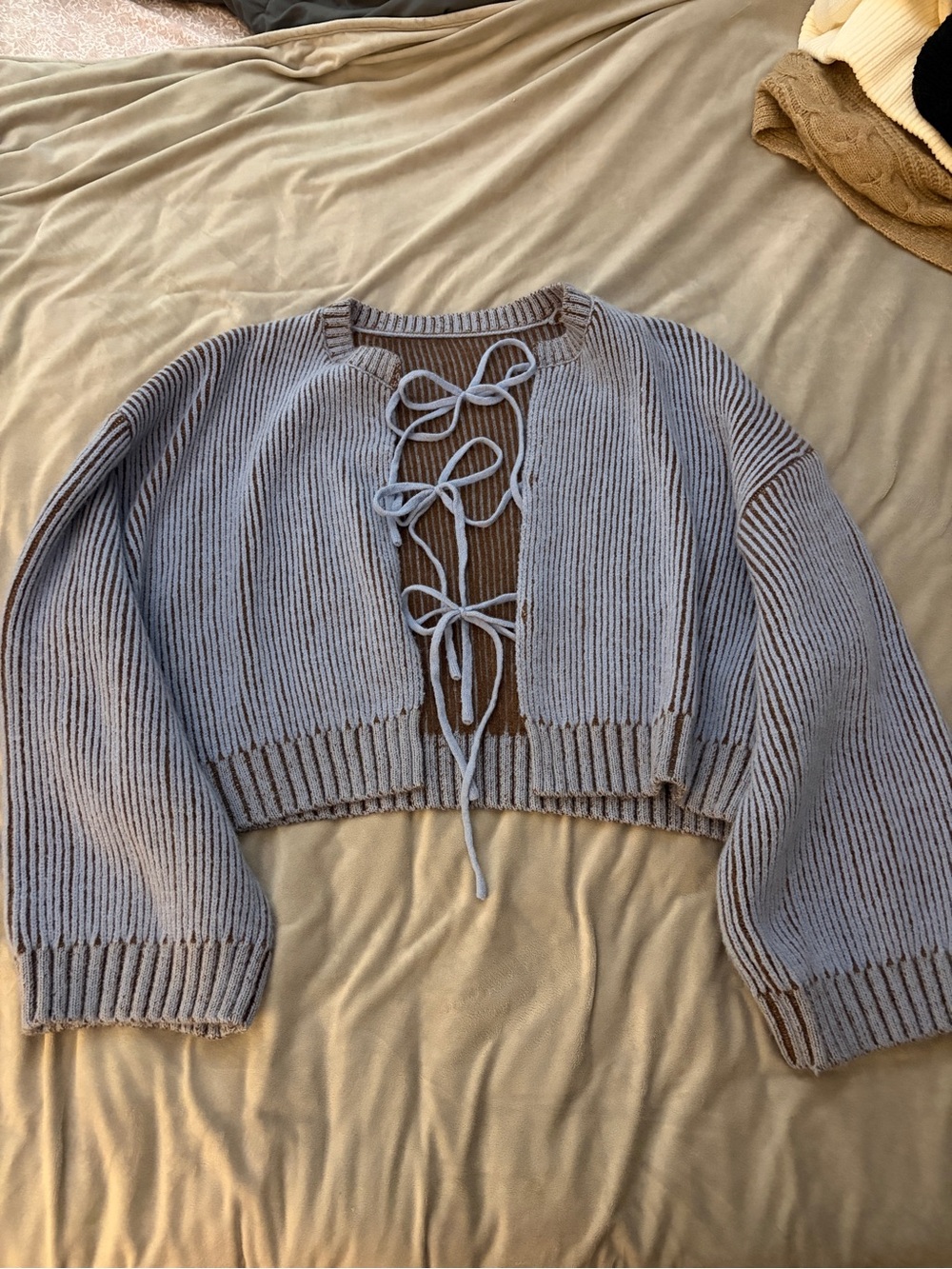Light blue and brown ribbed crop sweater - Picture 2 of 4
